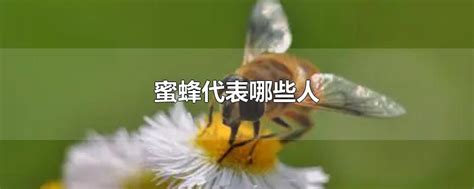 蜜蜂代表 如何知道自己斜視